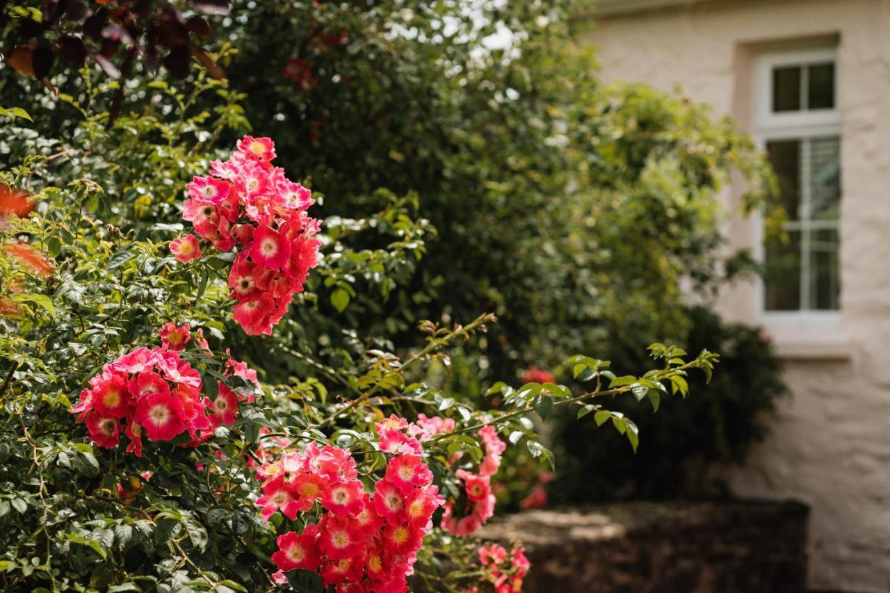 Stoodleigh Court Coach House Bed & Breakfast ทิเวอร์ตัน ภายนอก รูปภาพ