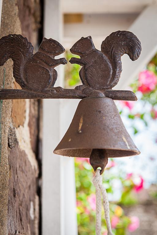 Stoodleigh Court Coach House Bed & Breakfast ทิเวอร์ตัน ภายนอก รูปภาพ