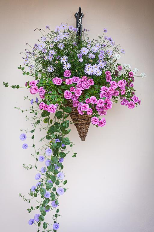 Stoodleigh Court Coach House Bed & Breakfast ทิเวอร์ตัน ภายนอก รูปภาพ